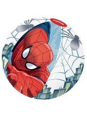 Мяч Человек-Паук 51см Bestway 98002